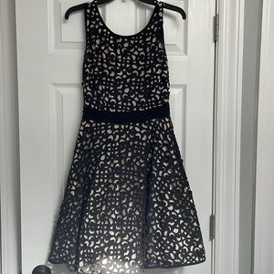 Black Xscape Dress